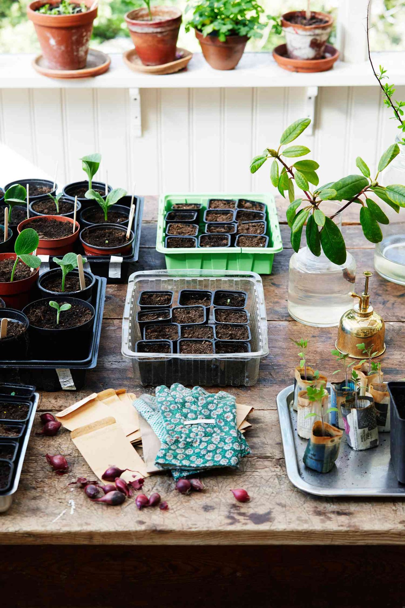 Gardening cover image