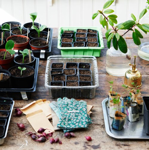 Magazine - Gardening