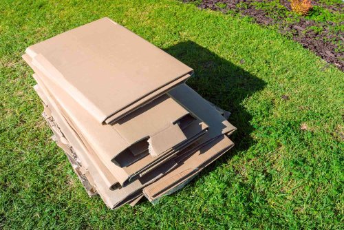 How to Use Cardboard in the Garden to Prevent Weeds and Enrich the Soil