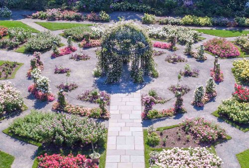 8 Things You Should Never Do at a Botanical Garden, According to Experts