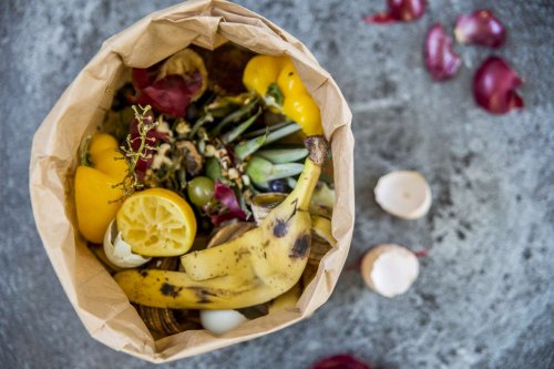 9 Surprising Things You Should Compost—and 10 You Shouldn't
