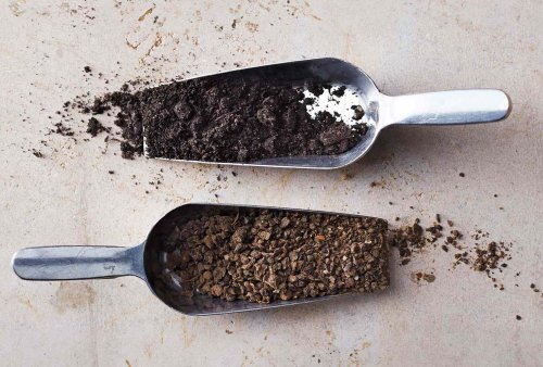 The Difference Between Potting Mix and Potting Soil—and When to Use Each