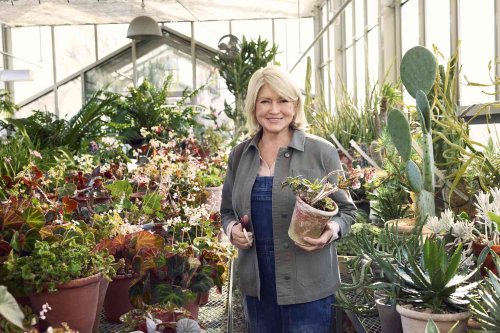 Martha Just Launched a New Gardening Apparel Line—Here Are the 4 Pieces We're Ordering for Ourselves