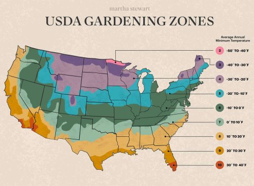 Our Guide to the USDA Gardening Zones—Plus, the Best Plants to Grow in Your Region