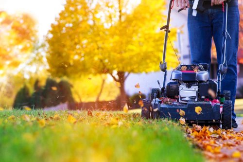 How to Know When It's Time to Stop Mowing Your Lawn for the Year