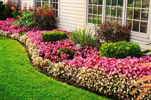 How to Make a Flower Bed for Planting Beautiful Perennials, Annuals, and Beyond