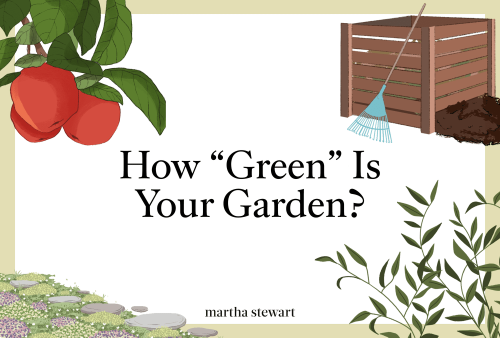 How "Green" Is Your Garden? Take Our Quiz to Find Out