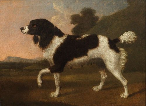 Newly Rediscovered Stubbs Dog Portrait Sells at Bonhams Old Master Paintings Sale