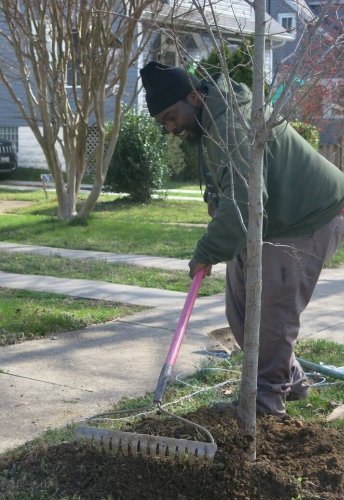 Tree equity in Maryland: Federal funds promote access to green space