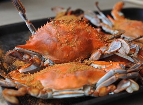 A Guide to Baltimore’s Best Seafood Restaurants for Date Nights