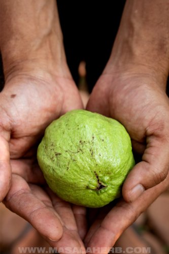 The Easiest Way to Turn Fresh Guava into a Silky Purée