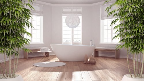 Épanouissez votre salle de bain : 6 plantes parfaites pour un environnement humide