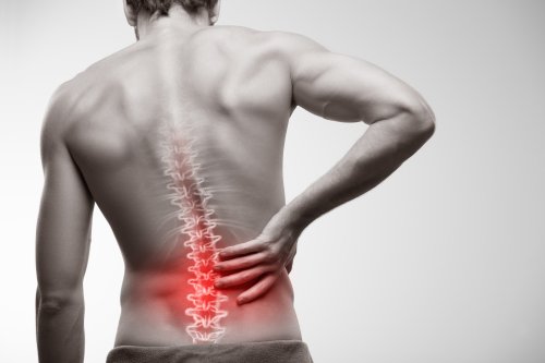 Renforcez votre dos avec ces 5 exercices les plus efficaces