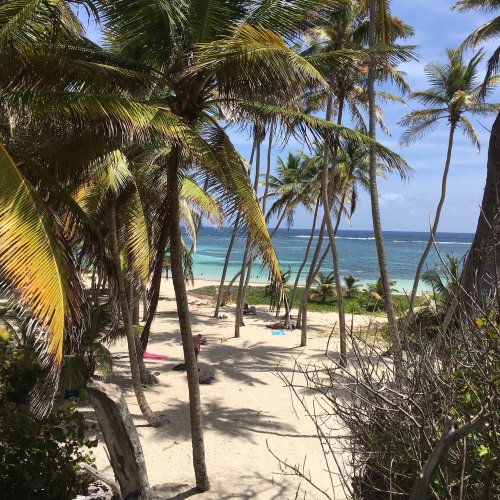 Voyage en Martinique : les 15 immanquables