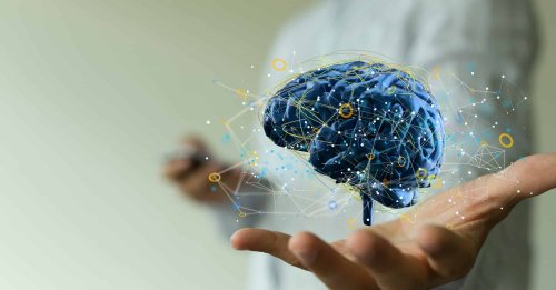 Cette habitude quotidienne à adopter qui va booster votre cerveau et protèger votre santé mentale