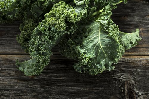 Le kale, votre nouveau meilleur ami pour une alimentation saine
