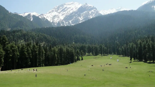 Pahalgam Terror Attack: Centre Reveals Why There Was No Security At Baisaran Meadow