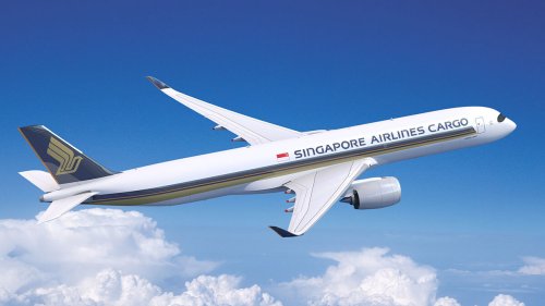 ‘Grabbed And Pushed Into Toilet’ Indian Man, 20, Charged For Molesting Crew On Singapore-Bound Flight