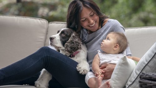 A guide to teaching children how to pet dogs