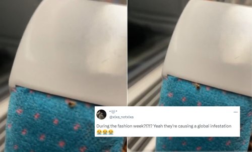 Bedbug panic in Paris: Videos of creepy insects on public transport seats go viral