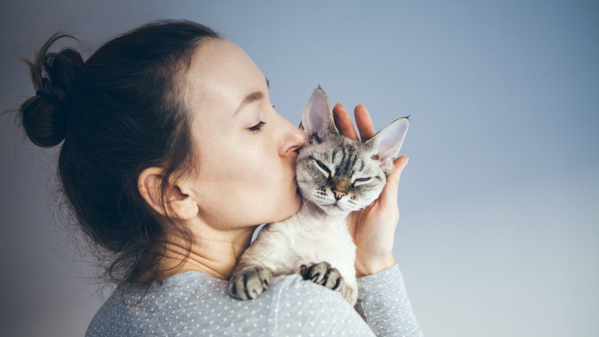 Scientists think they've found a way to get your cat to pay attention to you