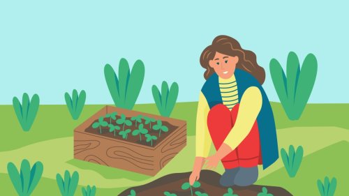 8 best gardening apps, so you can stop killing all of your plants
