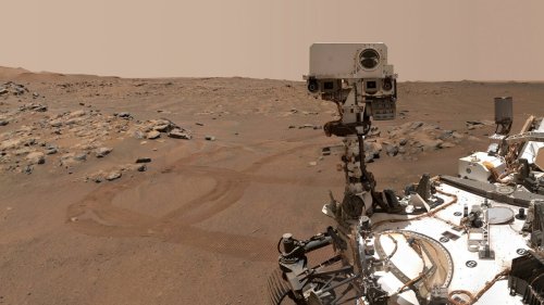 NASA's rover photo shows water once absolutely gushed on Mars