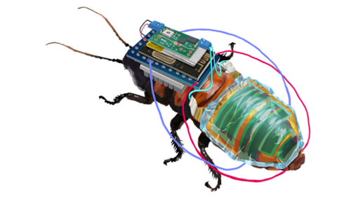 Technology's latest innovation is a remote-controlled cyborg cockroach