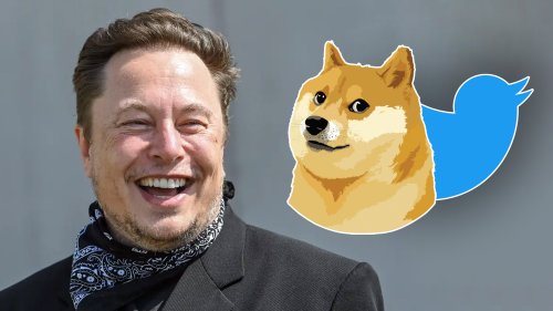 Elon Musk Changes Twitter's Iconic Blue Bird Logo To Dogecoin 'Doge ...