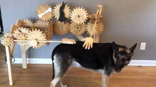 Automatic dog-petting machine is equal parts adorable and functional