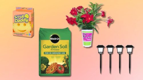 Revamp your yard with Home Depot's Spring Deals that are all under $20