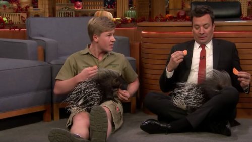 Robert Irwin brings some seriously cute animals on set but Jimmy Fallon isn't into it