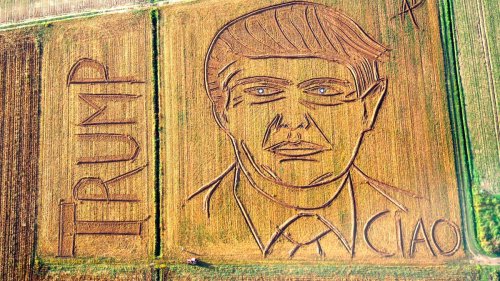 Someone created a giant Donald Trump portrait on a cornfield in Italy