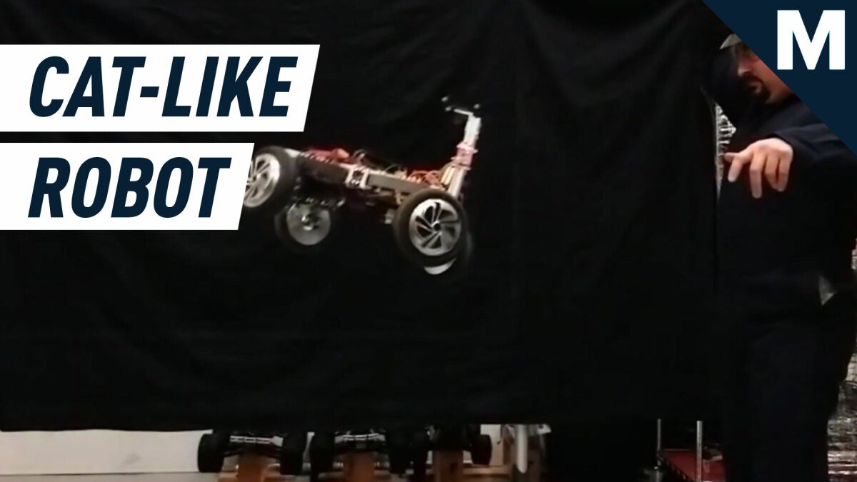 This cat-like robot always lands on four wheels