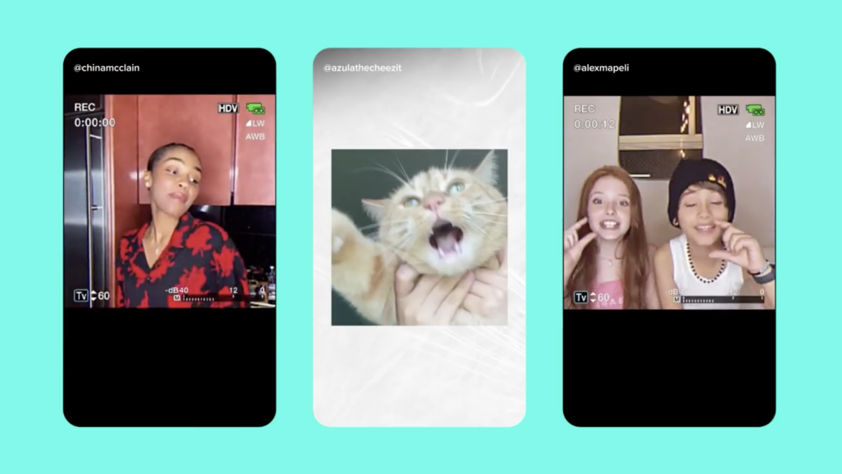 From pugs to plants, TikTok has been anything but predictable in 2021