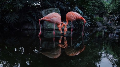 Some of the stunning winners of the 2020 iPhone Photography Awards