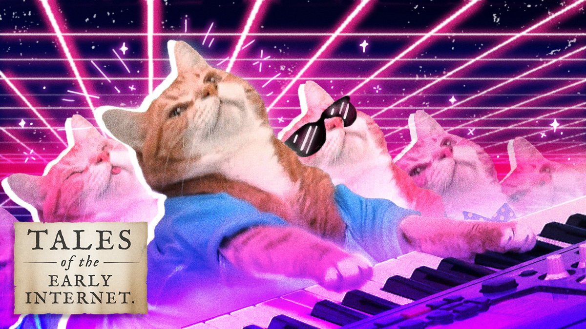 The legend of Keyboard Cat: How a man and his cat(s) won the internet lottery
