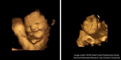 Babies Smiling For Carrots But Grunting For Kale In Womb Is The Best Thing You'll See On The Internet Today