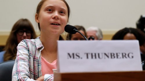 Greta Thunberg masterfully pulls apart congressman's argument on climate change