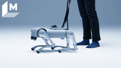 AI-powered robot dog is learning to 'live' like a human