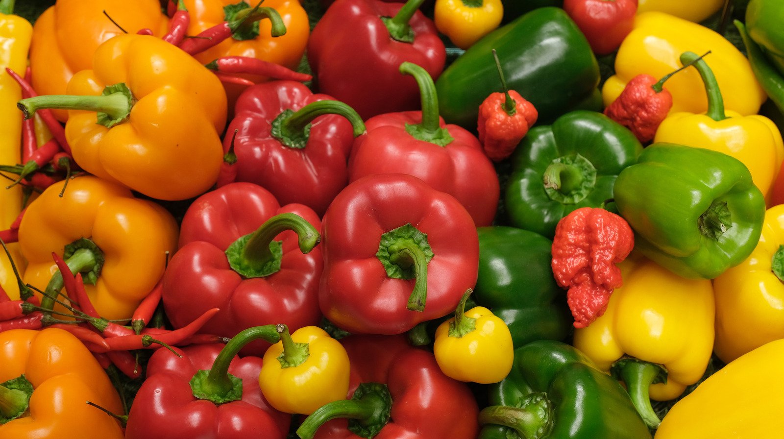 Read This Before Buying Bell Peppers Again