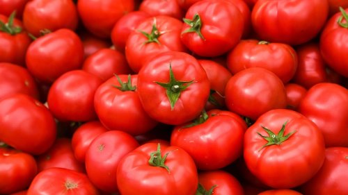 12 Facts You Didn't Know About Tomatoes