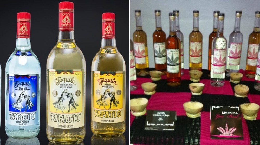 What Is The Difference Between Tequila And Mezcal?