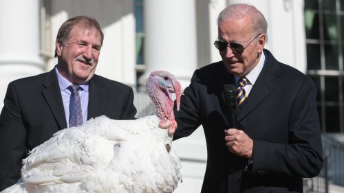 2022-s-pardoned-turkeys-have-the-cutest-foodie-names-flipboard