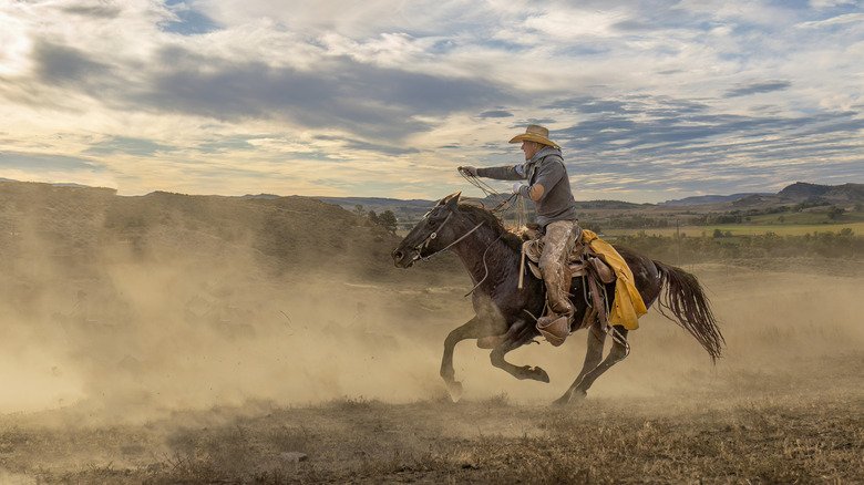 7 Meats That Fueled Cowboys In The Old West - cover