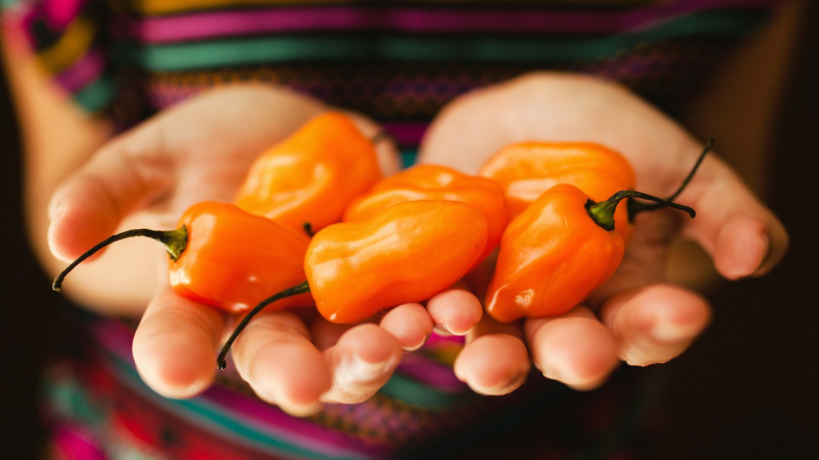 Read This Before Buying Any More Peppers