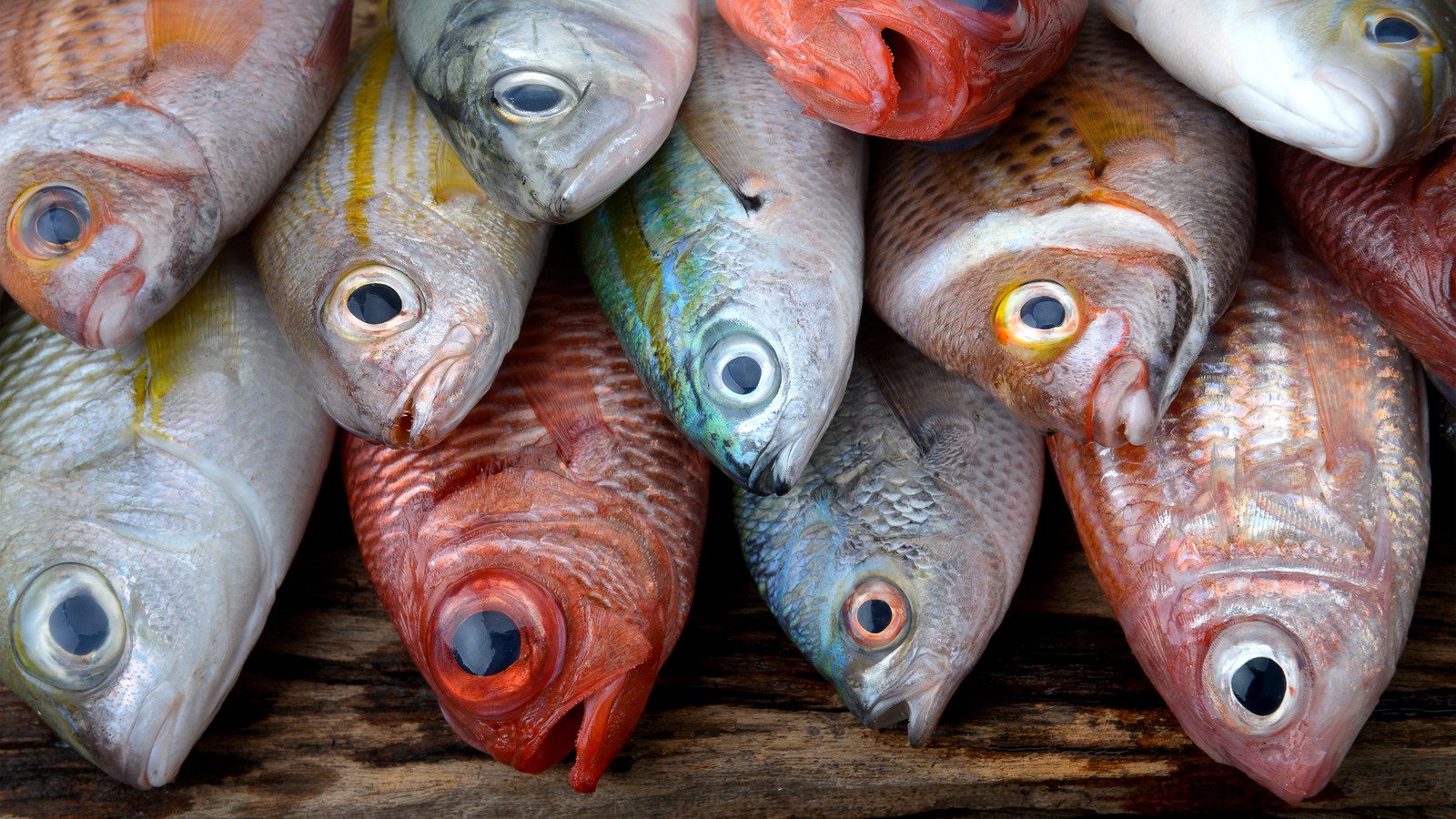 12 Cheap Fish You Should Absolutely Never Eat - Mashed
