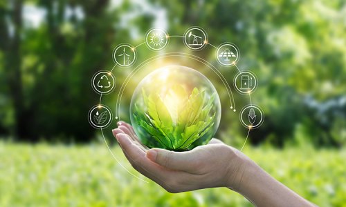 Green Living: 3 Actions to Better Serve You, Your Clients and Earth