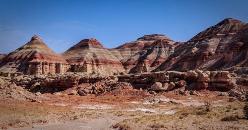 Don’t Let the Gates Close: Take Action to Protect Our Public Lands