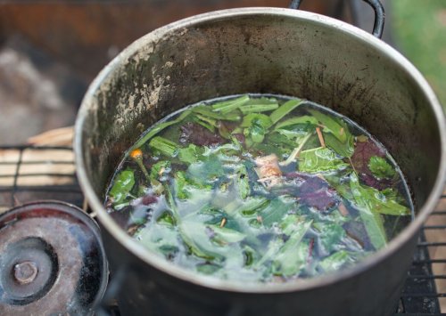 11 Things I Learned the First Time I Took Ayahuasca